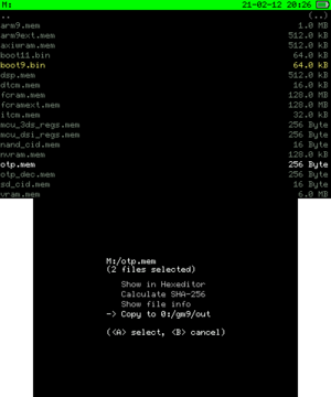 GM9 Copy boot9 and otp.png